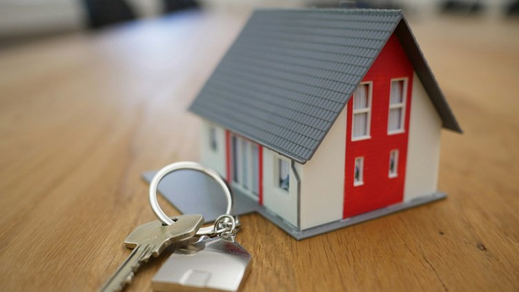 House model