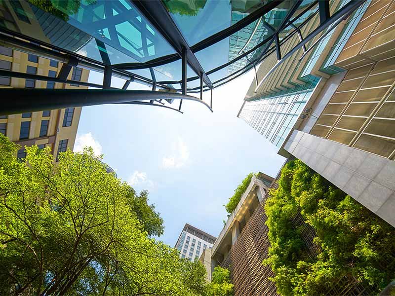 office buildings and trees