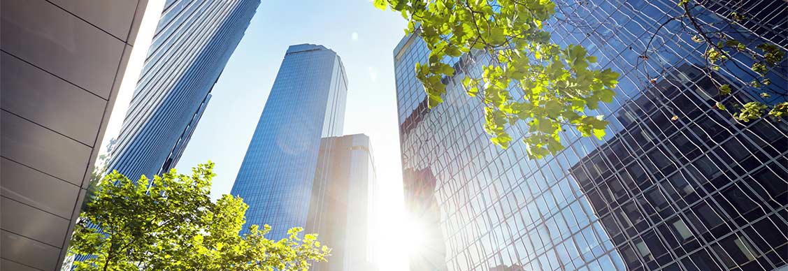A Closer Look at Bangkok CRE's Flight-To-Green