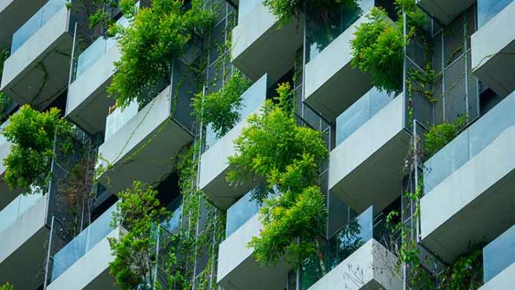Balconies having greenery