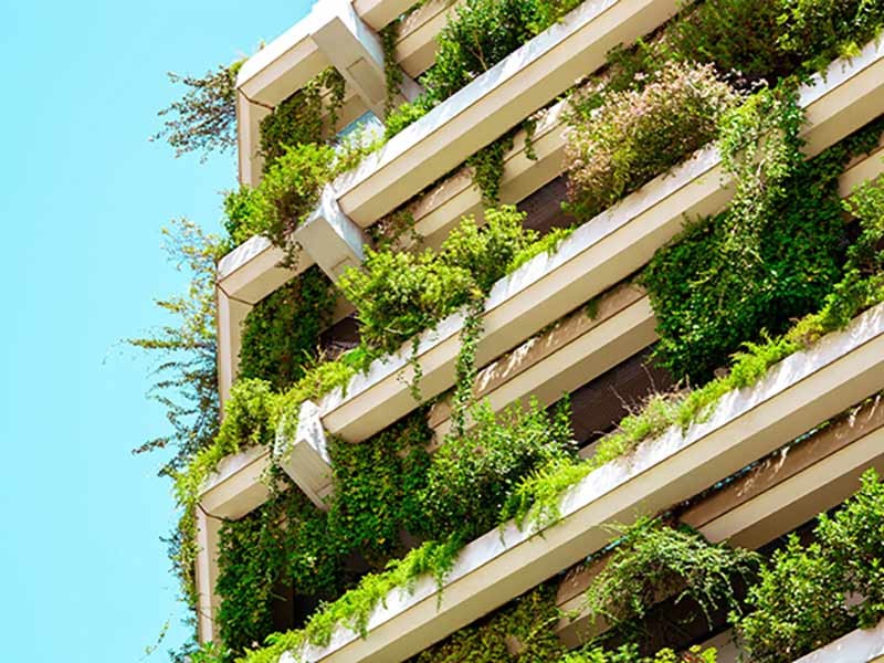 Building covered with plants