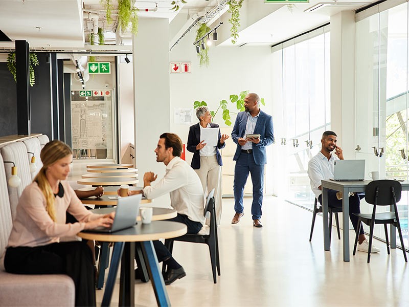 People working in a office