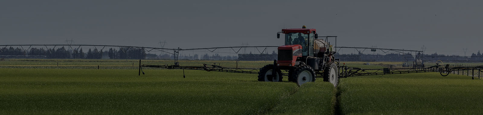 rural scene of a red tractor spraying a green crop