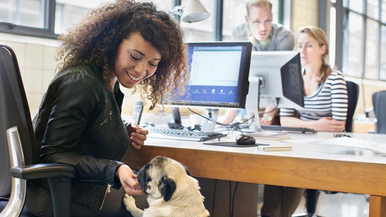 Young woman petting dog at office desk